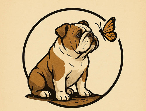 Modern Bulldog, LLC 
